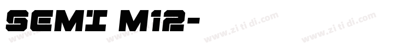 SEMI M12字体转换